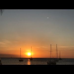 Meet your Posher, Haleigh